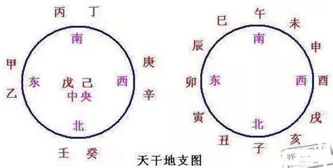 明年什麼生肖 干支生剋